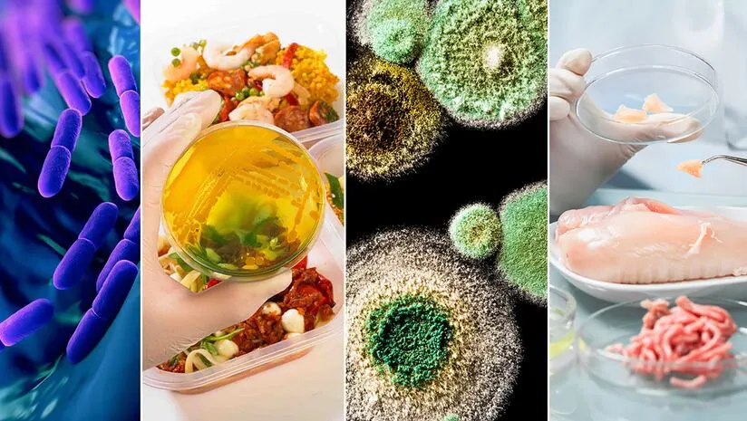 Food safety and hygiene operations