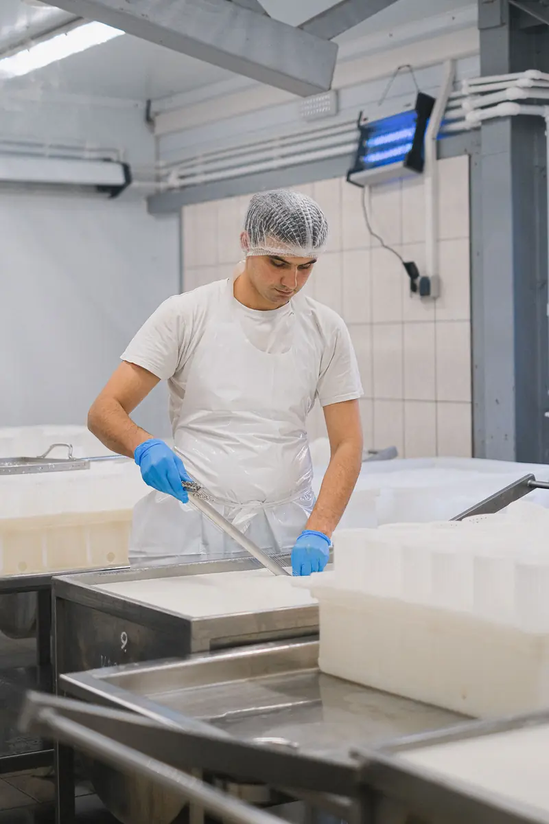 Food processing operative working on a hygienic production line