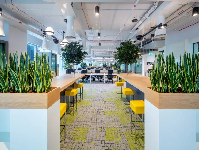Offices — AQOZA